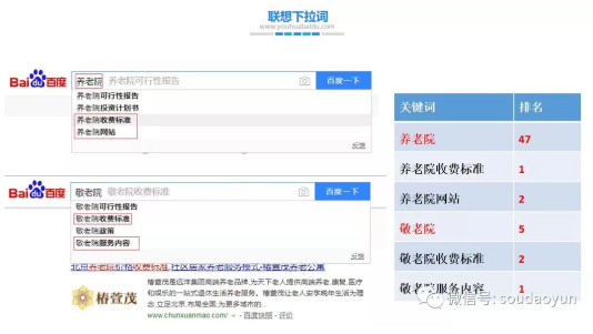 SEO SEO